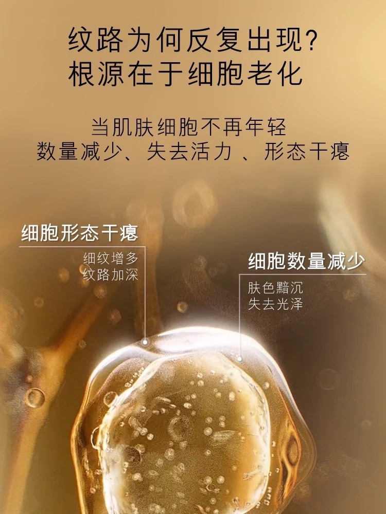 图像2025-6-27 17.53 (2).jpeg